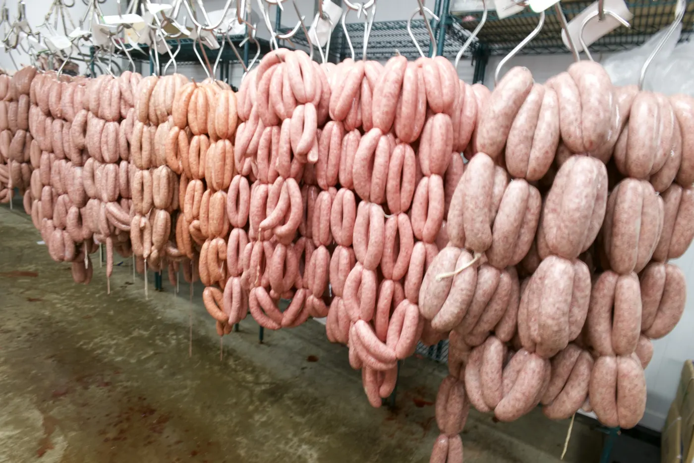 Lights and camera set up in the Ginger Butchers production room